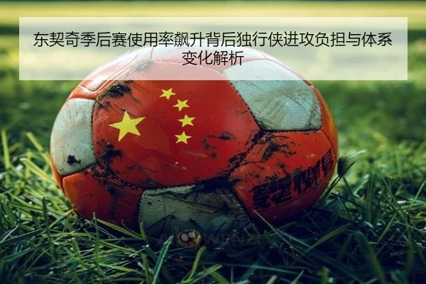 东契奇季后赛使用率飙升背后独行侠进攻负担与体系变化解析